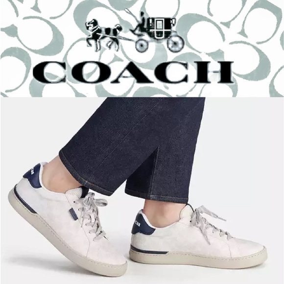 Lowline Low Top Sneaker In Signature Canvas Sz 10 - Picture 1 of 8
